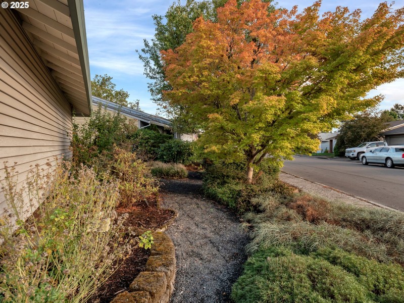 Front Yard