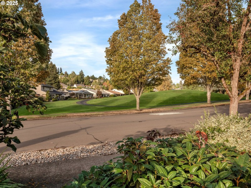Green Space