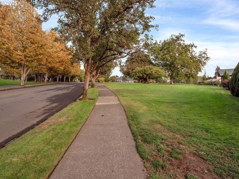 Green Space