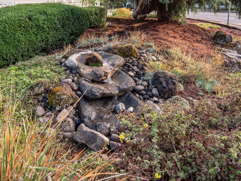 Water Feature