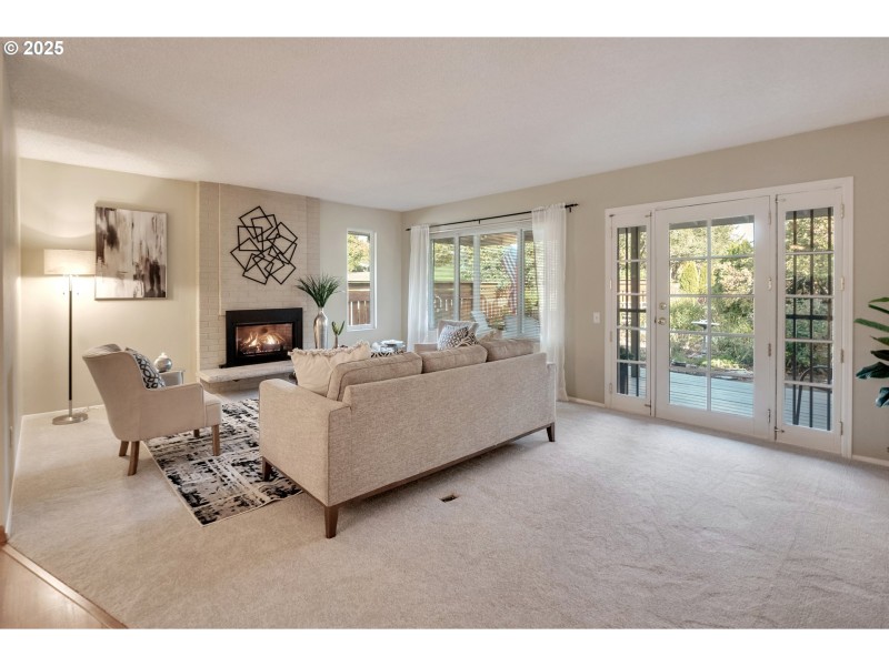 Fireplace Gas Burning Stove/Insert