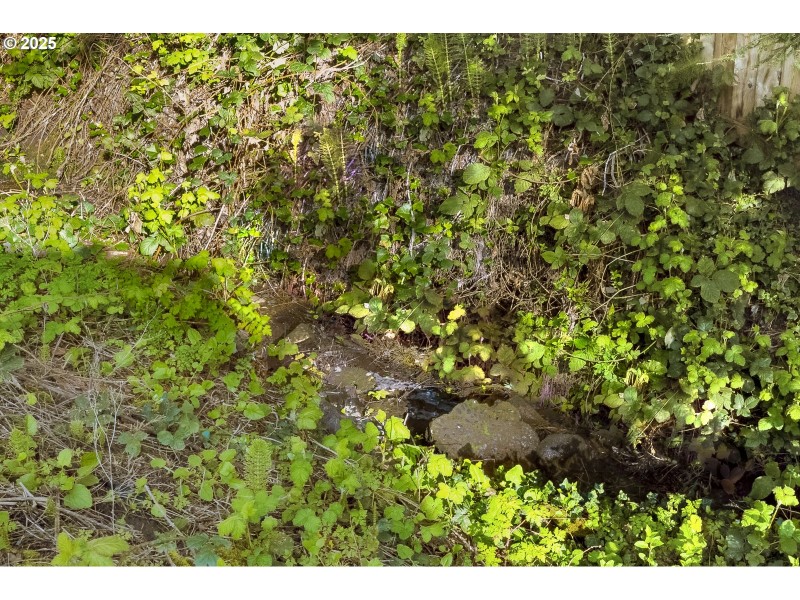 Creek