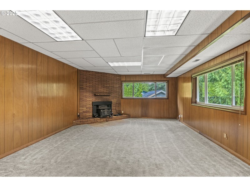 Fireplace Insert