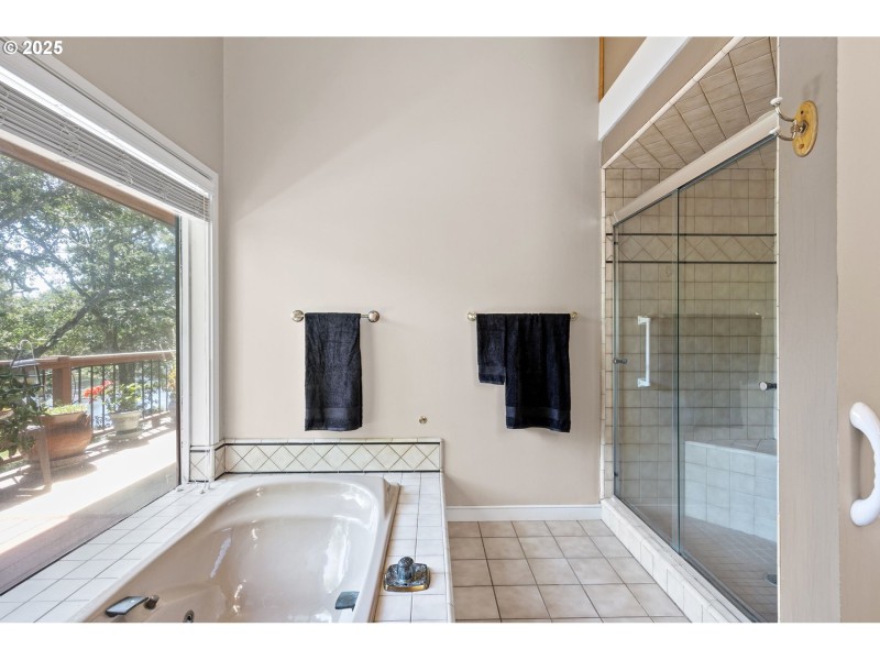 Owner's Suite Bathroom