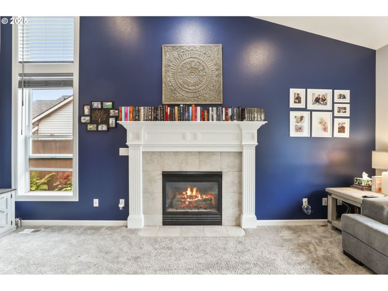 Fireplace Gas