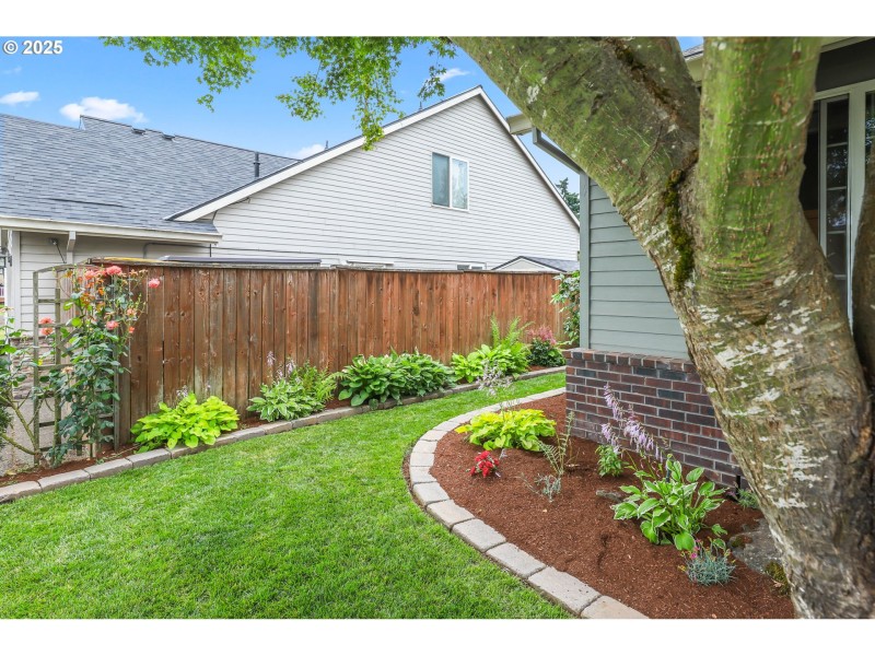 Yard