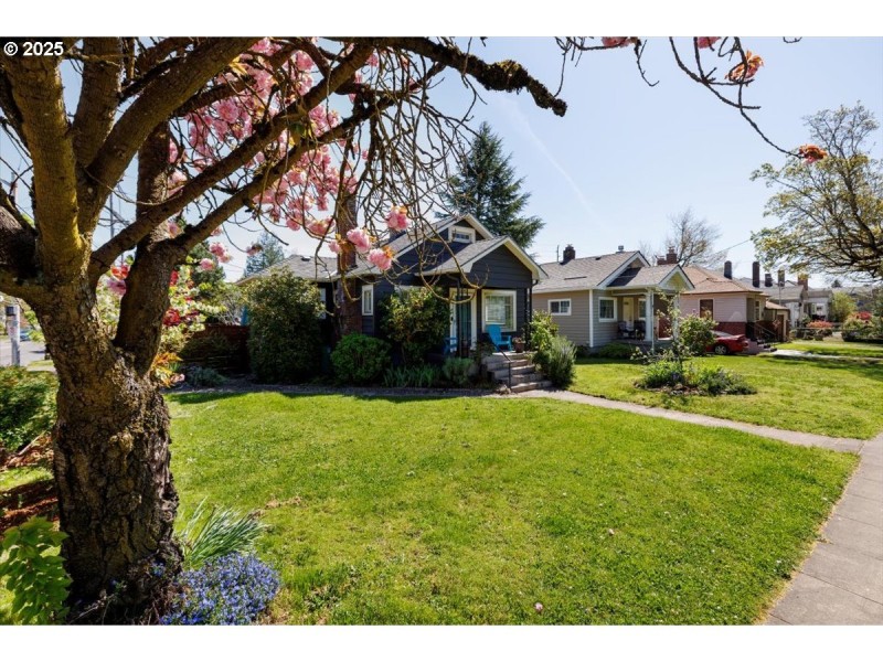 Front Yard
