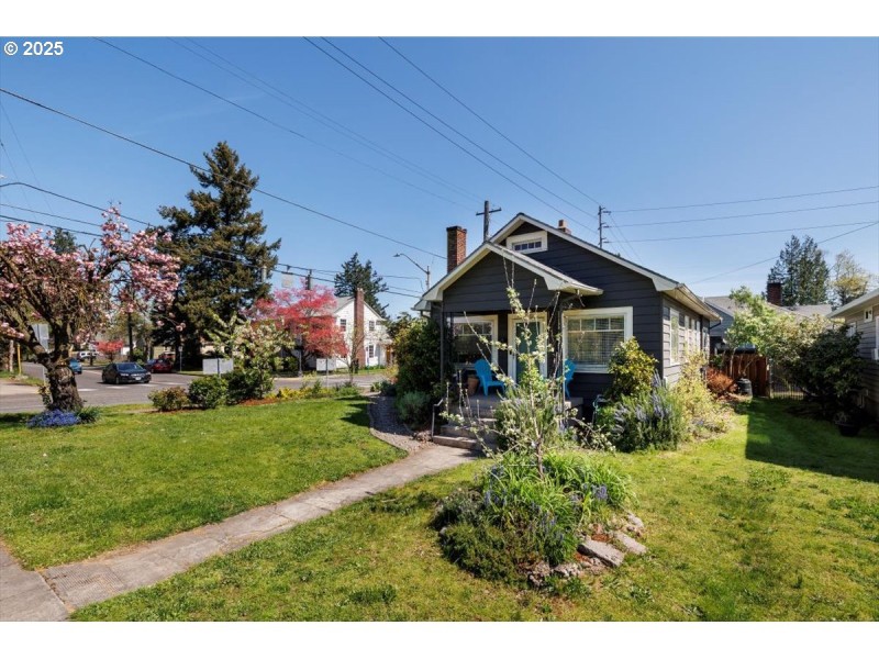 Front Yard