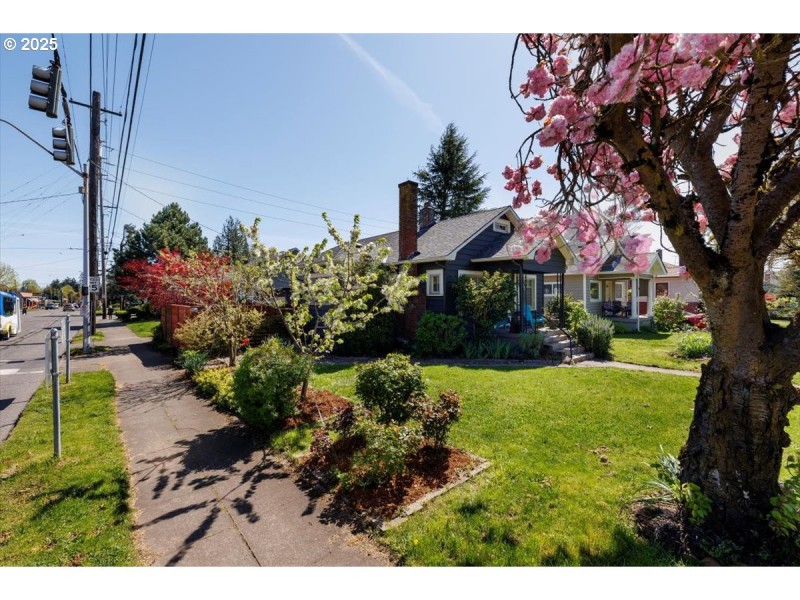 Front Yard