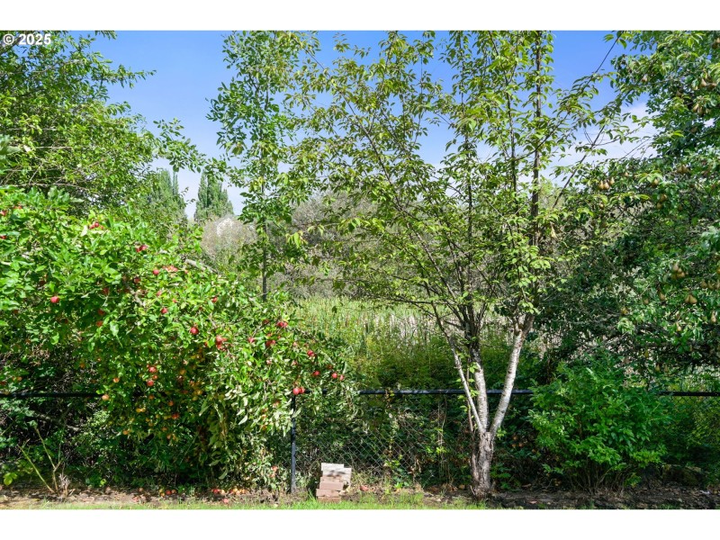 Green Space
