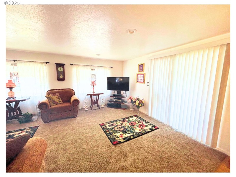 Living Room/Entrance
