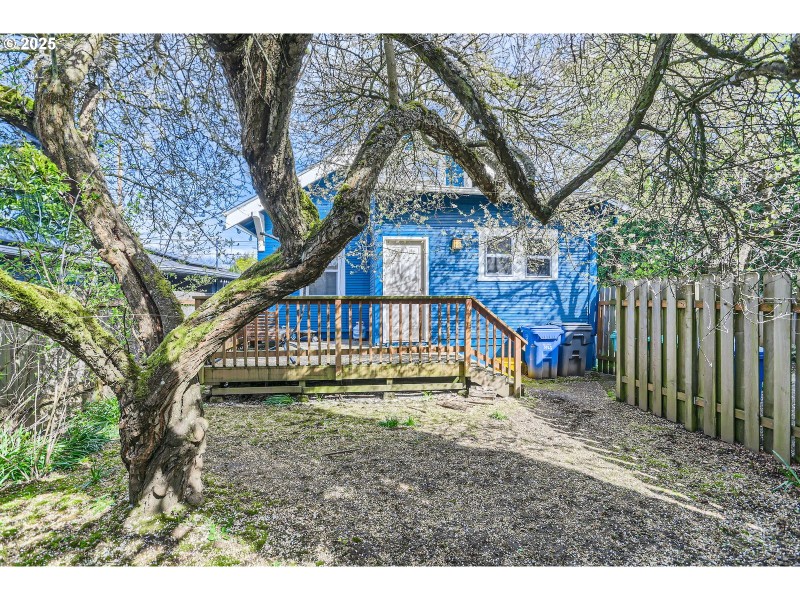 Backyard
