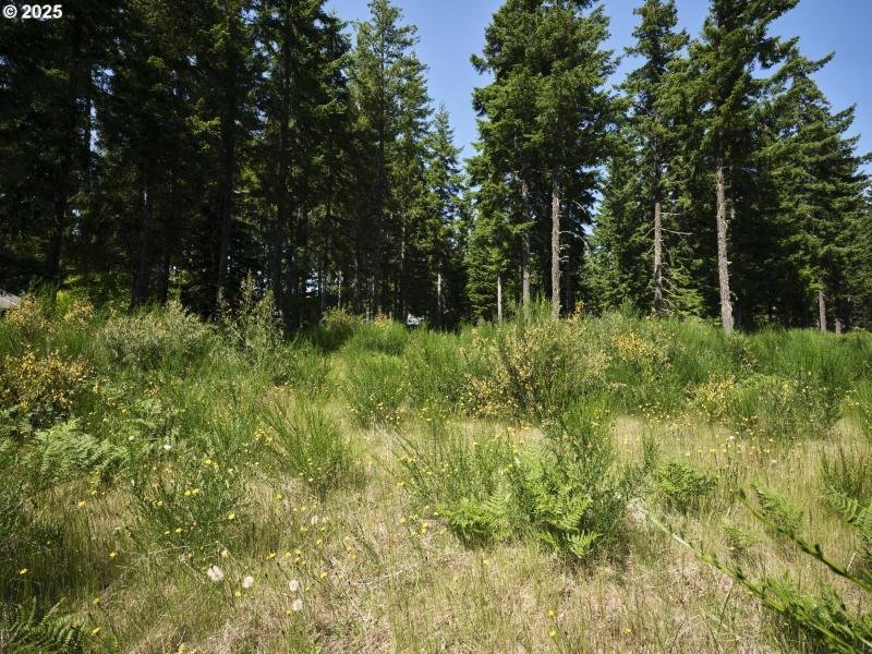 Acreage