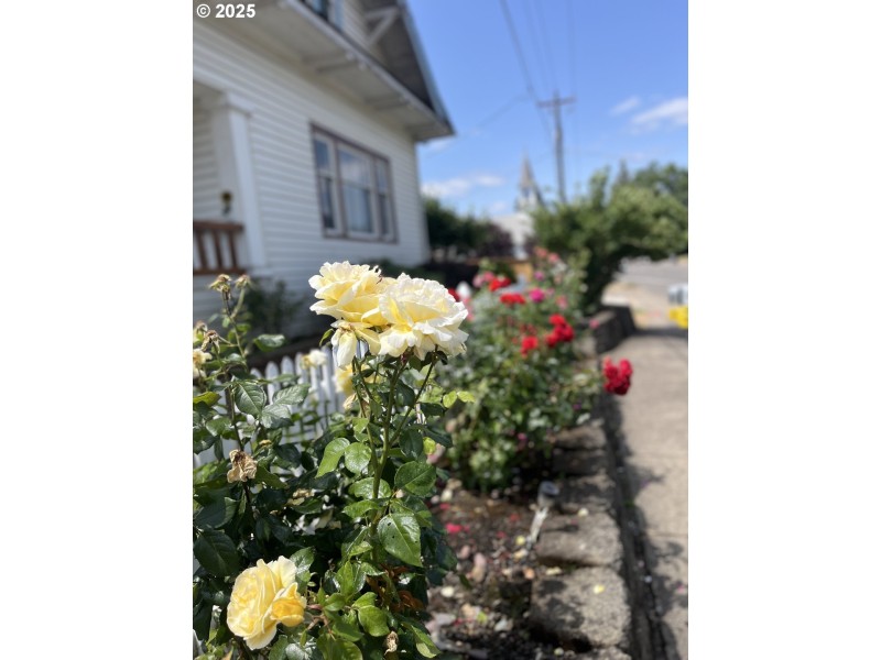 Front Yard