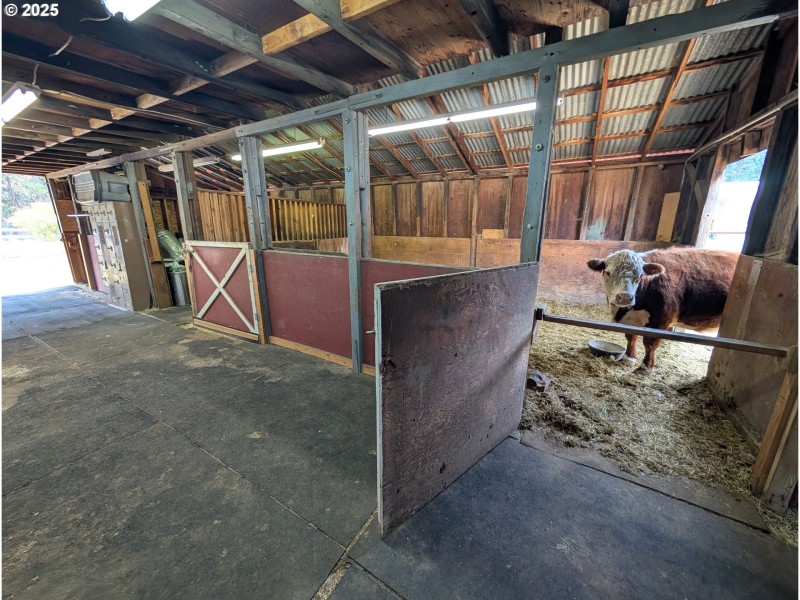 Stable