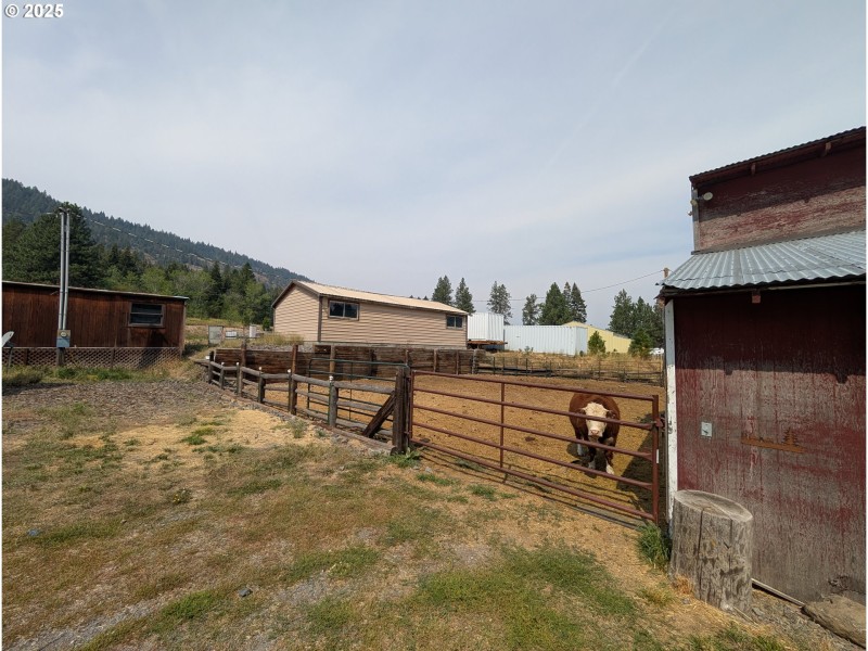 Corral