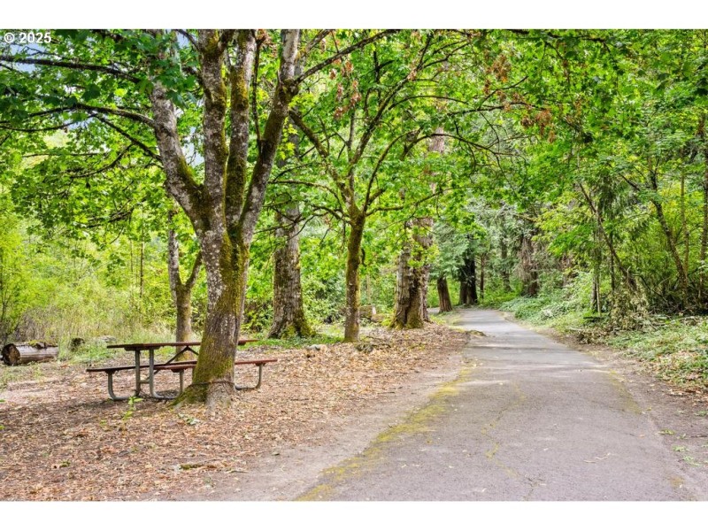 Community Park