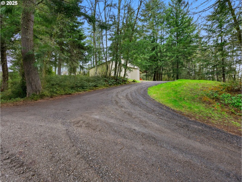 Driveway
