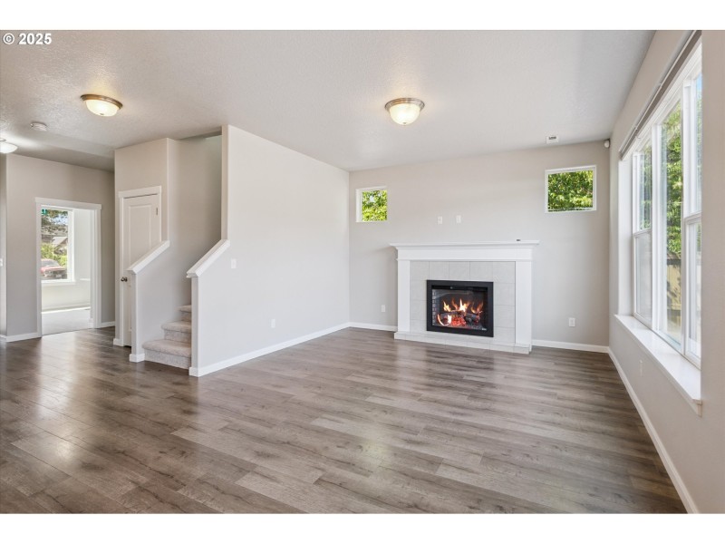 Living Room/Entrance