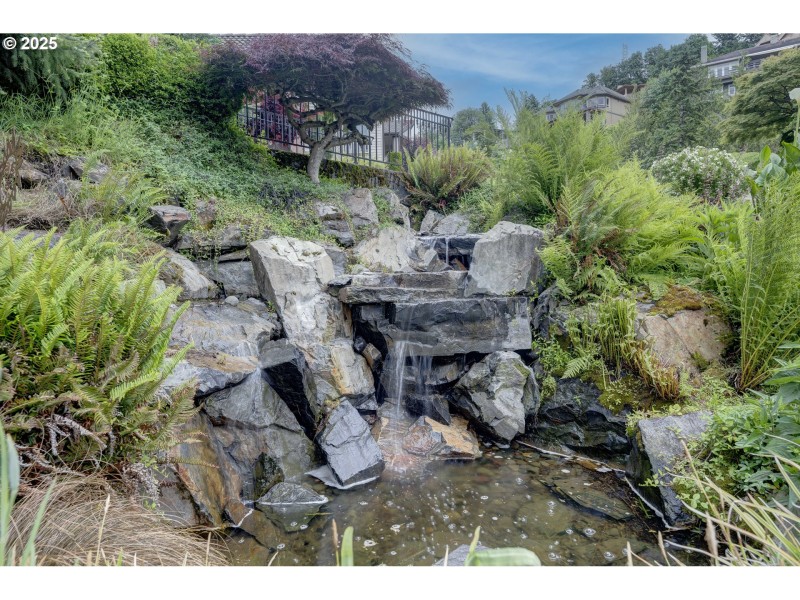 Water Feature