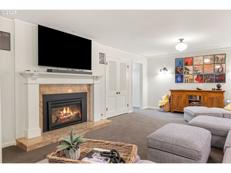 Fireplace Gas