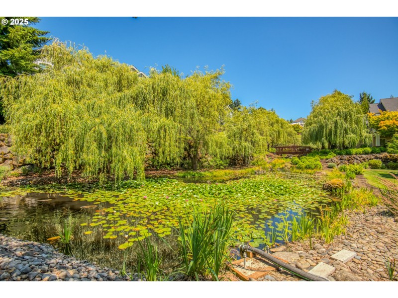 Water Garden