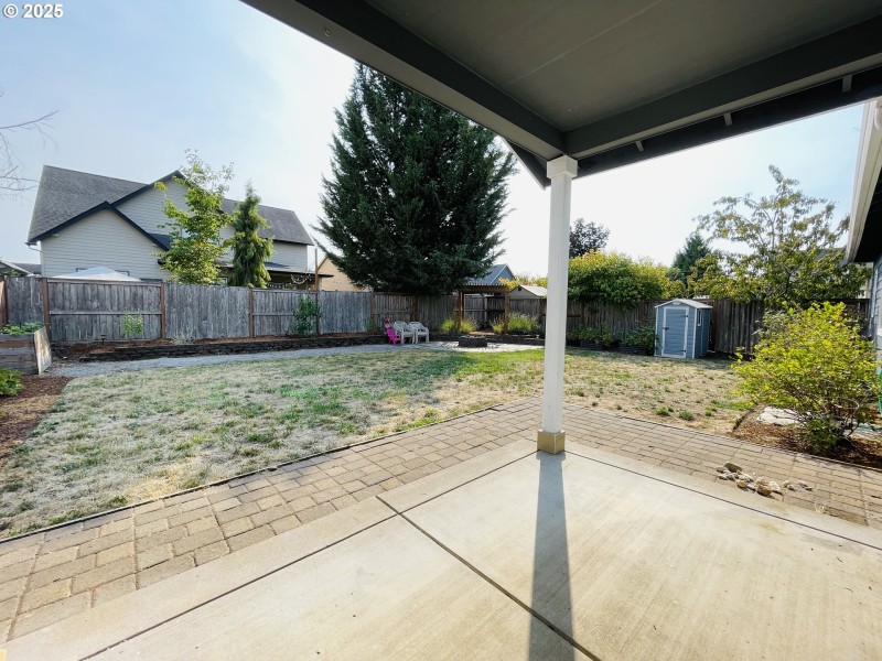 Backyard
