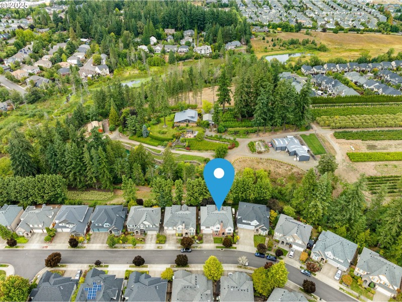 Drone View/UAV