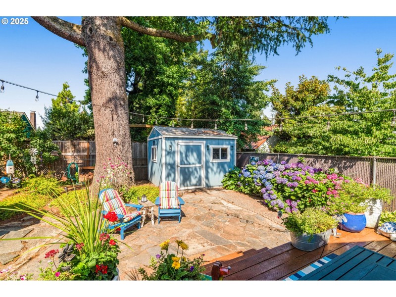 Backyard