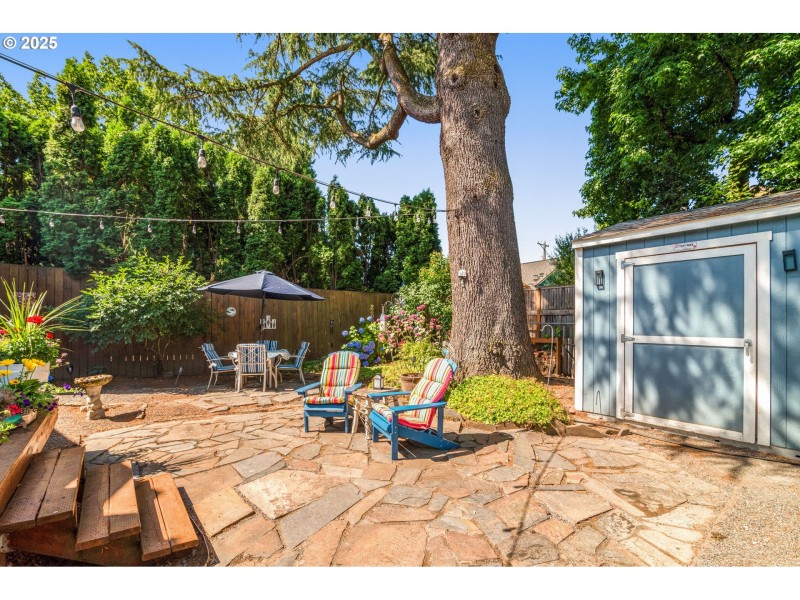 Backyard
