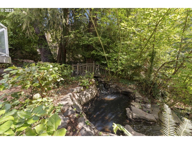 Water Feature