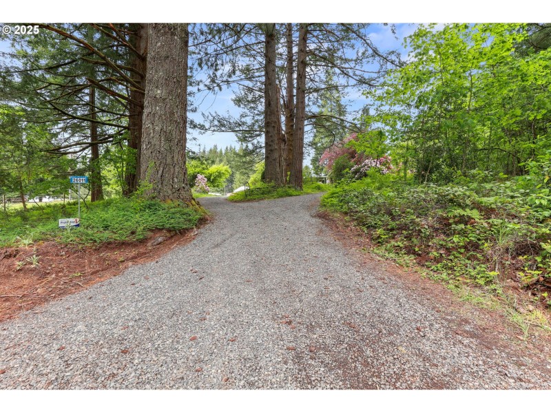 Driveway