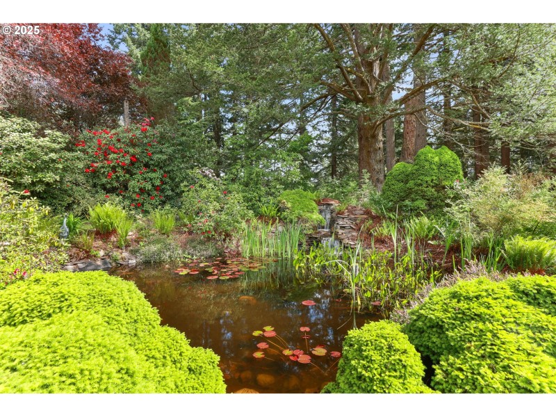 Pond
