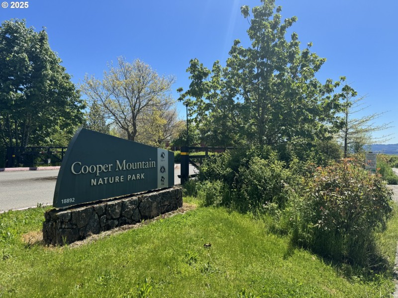 Community Park