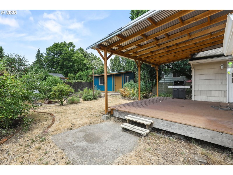 Backyard