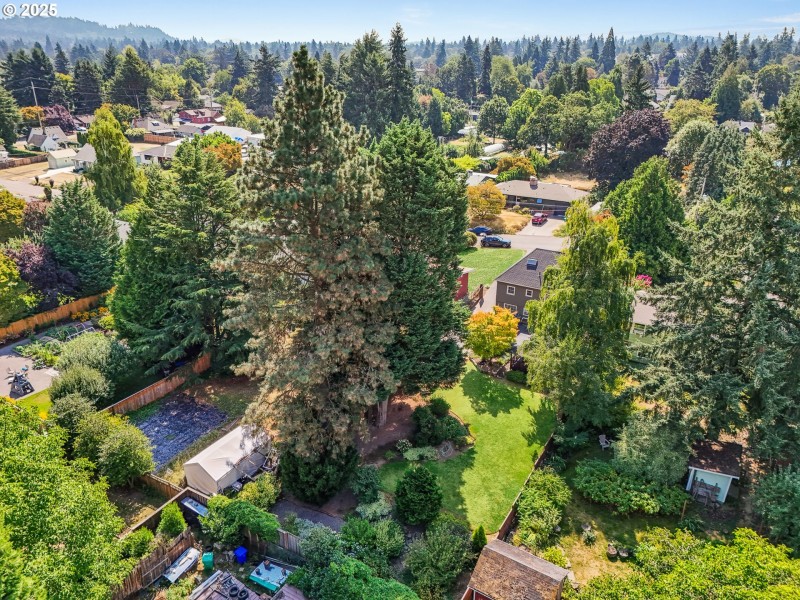 Drone View/UAV