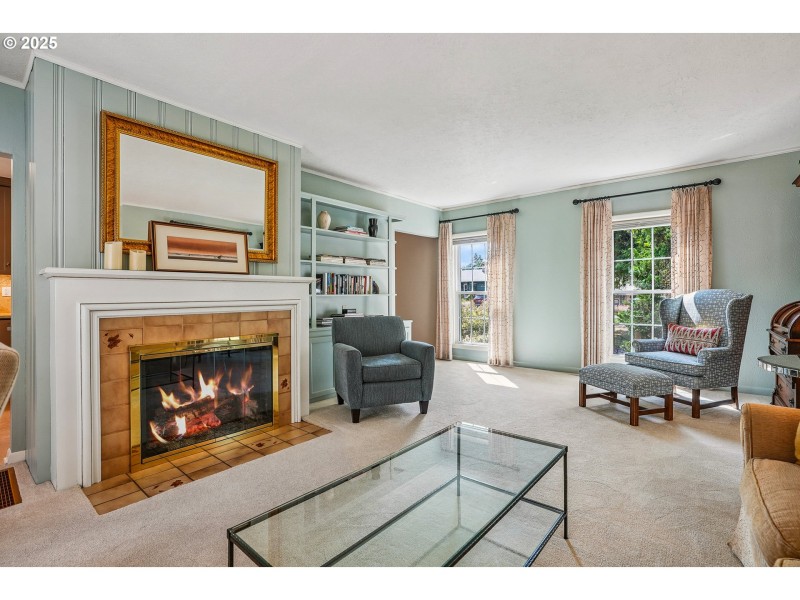 Fireplace Gas