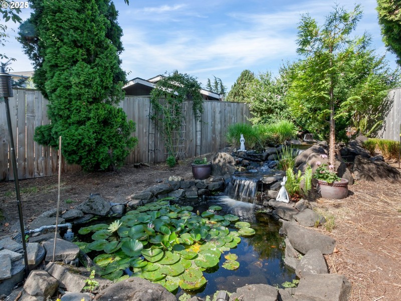 Pond