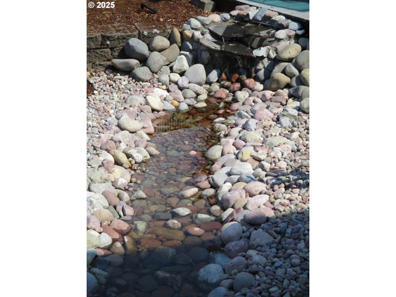 Water Feature