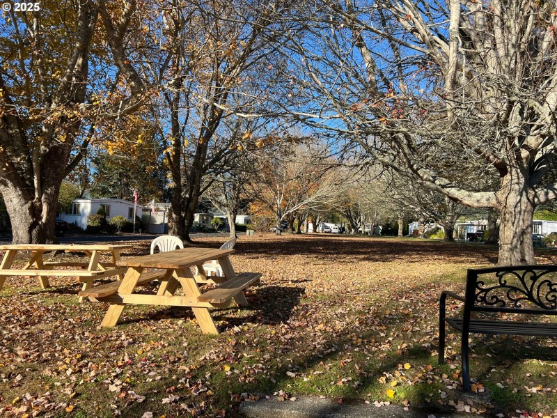 Community Park