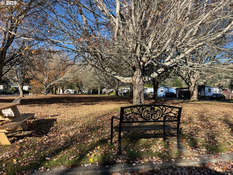 Community Park