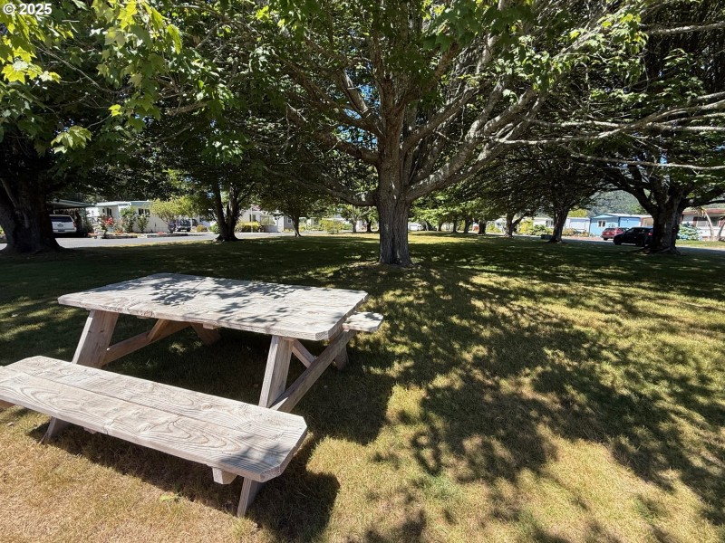 Community Park