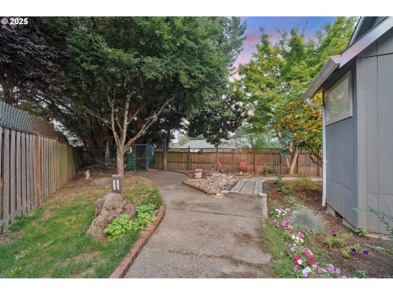 Backyard