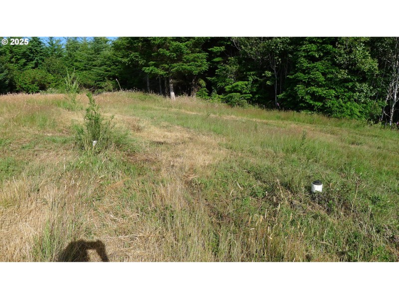 Drain Field Site