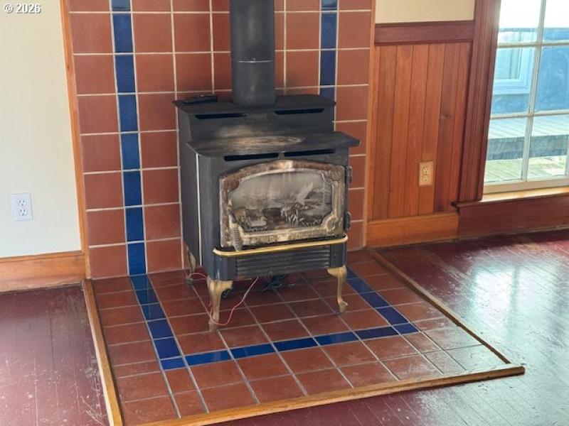 Fireplace Gas Burning Stove/Insert