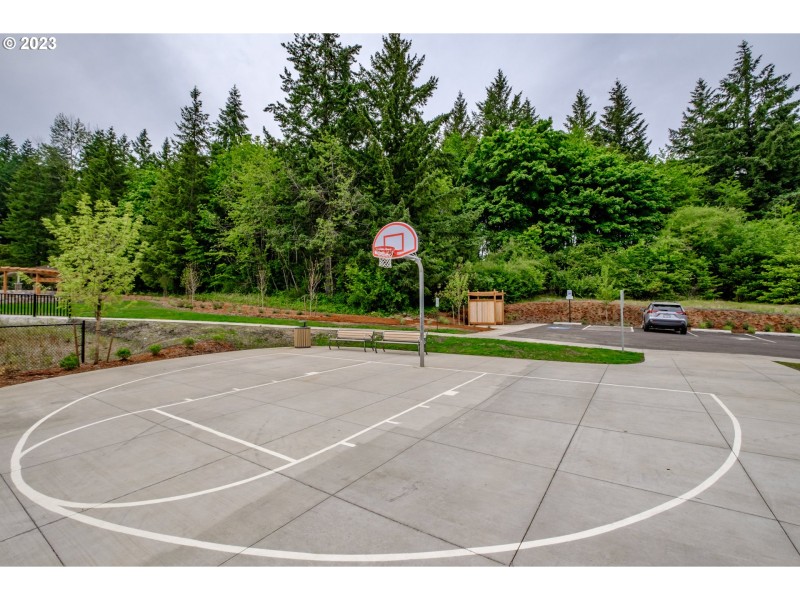 Community Basketball