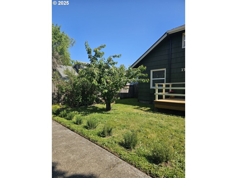Yard