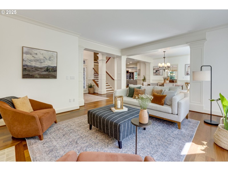 Living Room/Entrance