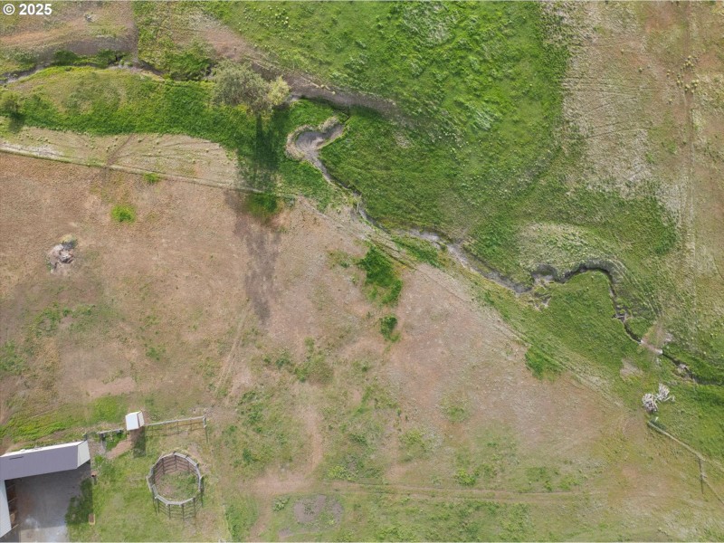 Pasture