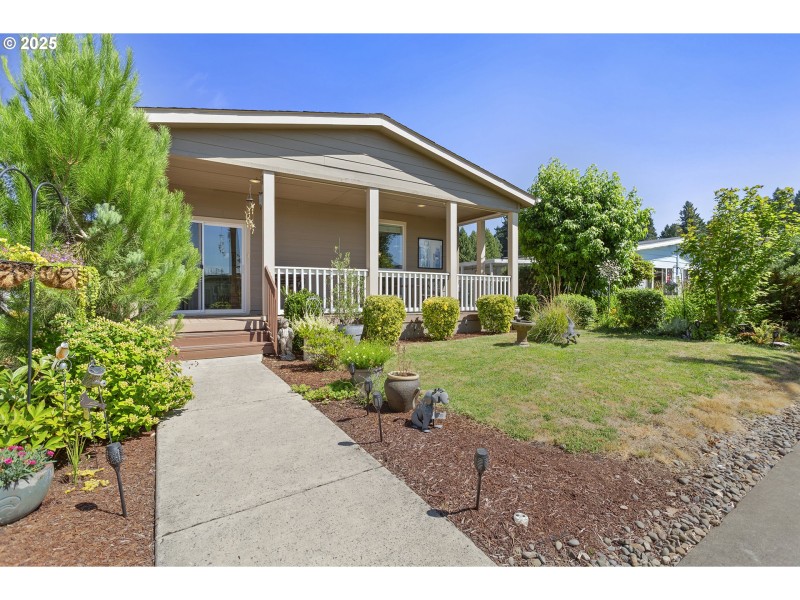 Front Yard